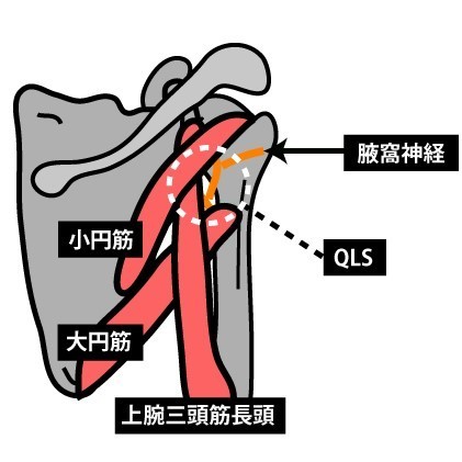 四十肩・五十肩・腋窩神経障害