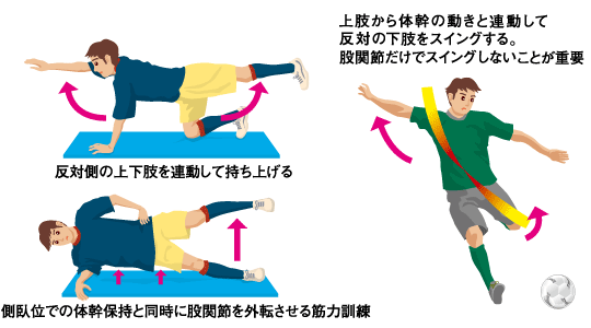 グロインペイン症候群・鼡径部痛症候群・エクササイズ